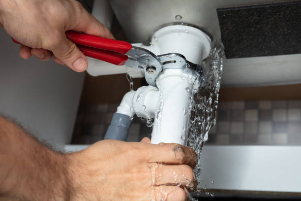 Best Mold removal after water damage  in Irwin, SC