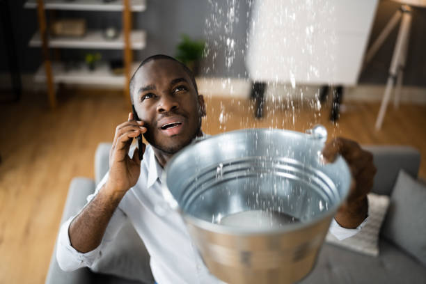 Best Carpet water damage restoration  in Irwin, SC