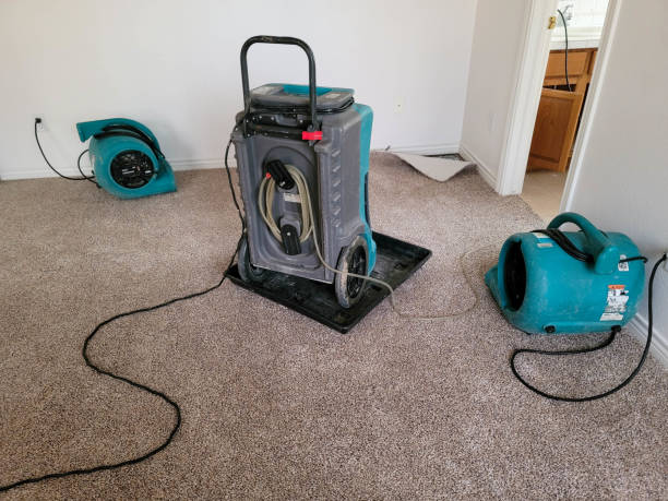Best Flood damage cleanup  in Irwin, SC
