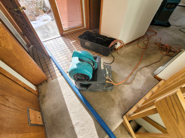 Best Sewage cleanup and water damage restoration  in Irwin, SC