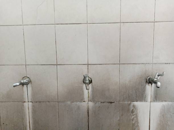 Best Water damage restoration near me  in Irwin, SC