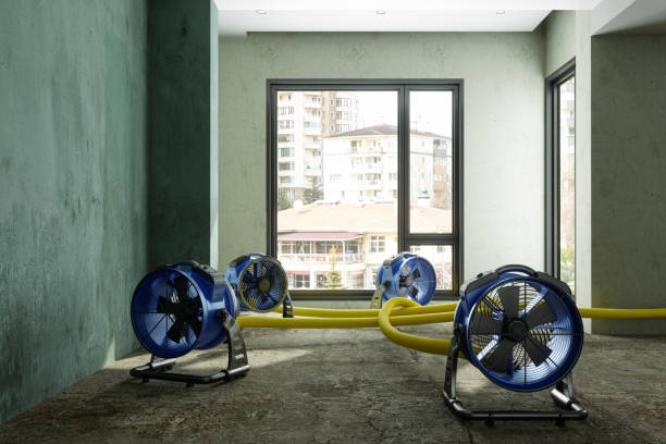 Best Flood restoration services  in Irwin, SC